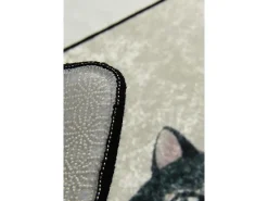 Sale Alfombra de baño Angry Cats DJT Çap Multicolor