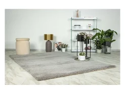 Discount Meublorama Alfombra 230x160cm, diseño D005M color plata - Confort y elegancia para su interior. Gris