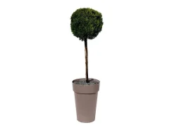 Best EDA Maceta/jarrón alto Ø 46 x 65 cm - 67 L - Taupe Topo