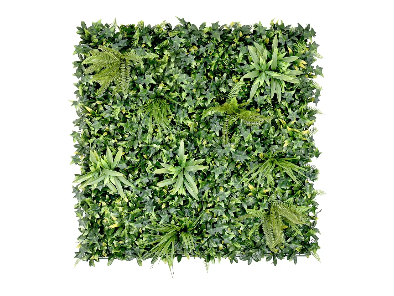 Online Vente-unique Pared vegetal sintética , protección anti-UV, pack de 1m², DELVIN Verde